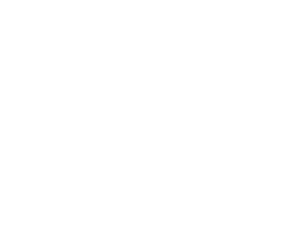 Diseño Global MX