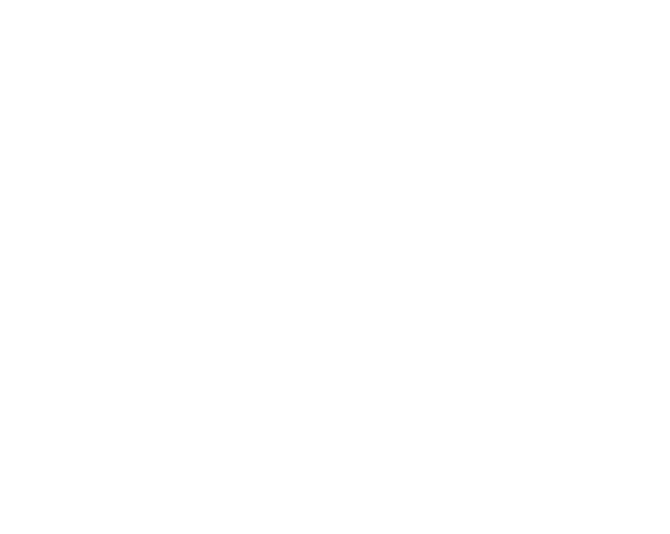 Diseño Global